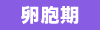 卵胞期