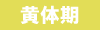 黄体期
